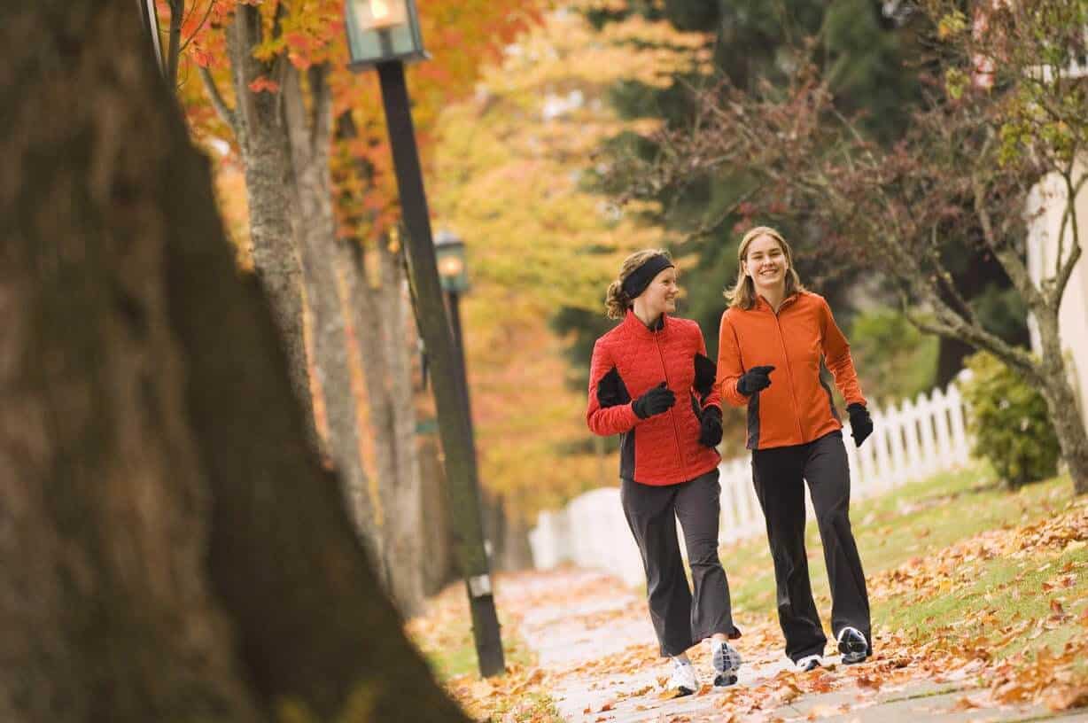 Outdoor walk for stress recovery in the Netherlands at Organickne